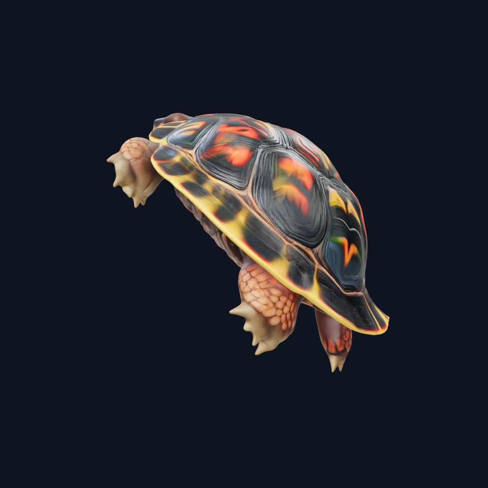 Western Painted Turtle Vibrant Shell model pack